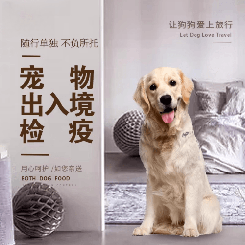 阳泉市宠物托运到哥伦比亚猫狗宠物入境规定和