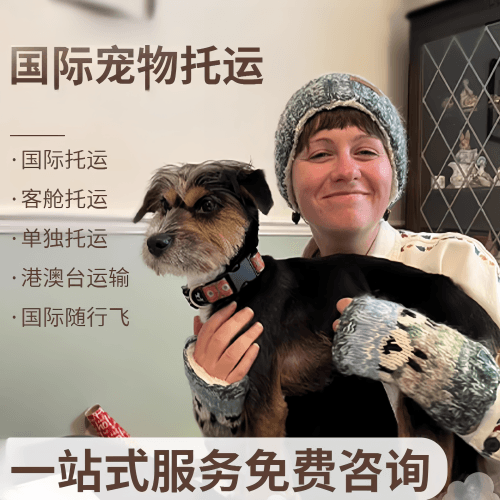 阳泉市国际宠物托运到阿根廷宠物入境规定和要