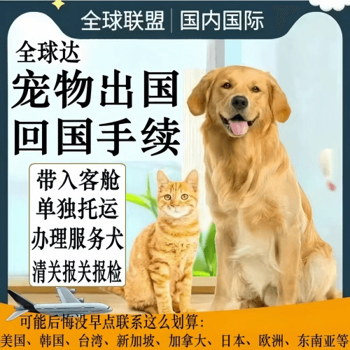 阳泉市宠物托运到柬埔寨宠物入境规定和要求