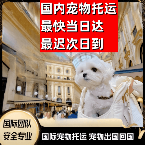 阳泉市到澳大利亚（澳洲）宠物入境规定和要求