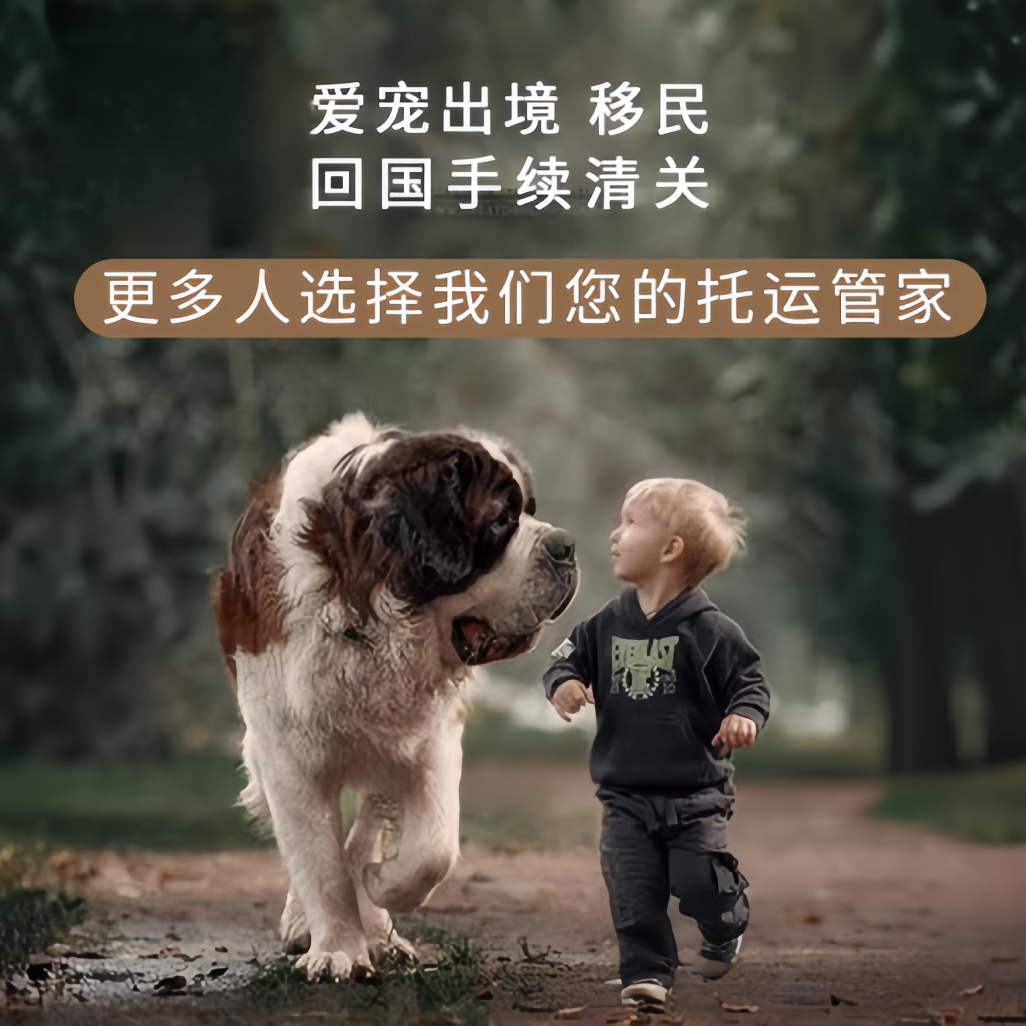 满财阳泉市宠物全球达宠物托运在遵守入境目的地政策的条件