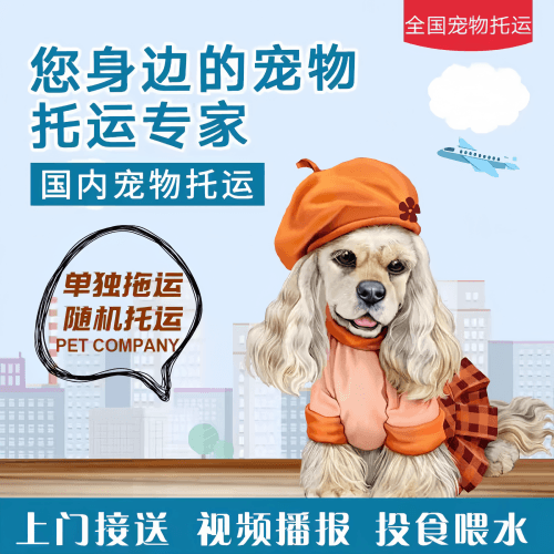 满财阳泉市宠物全球达宠物托运作为专业的宠物运输代理机构